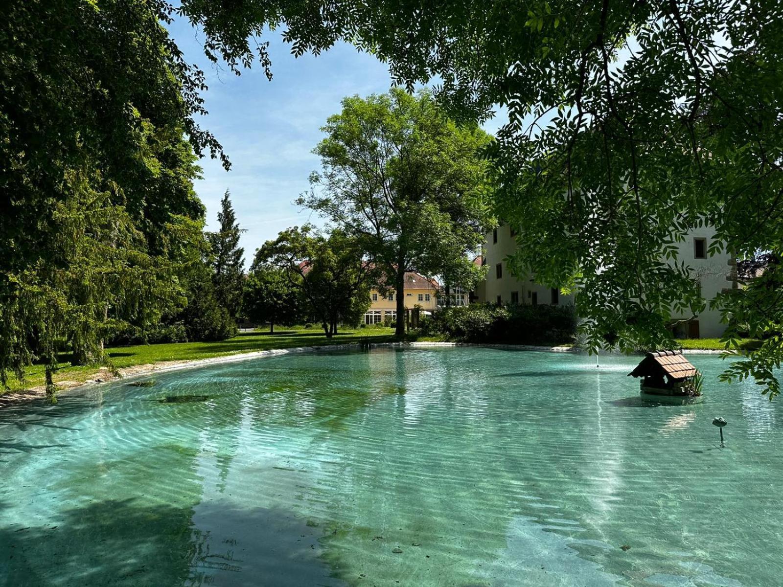 Schloss Neckarbischofsheim المظهر الخارجي الصورة